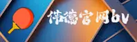 使用指南与常见问题
